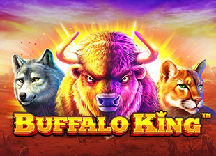 Buffalo King